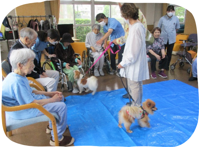 ドッグセラピー